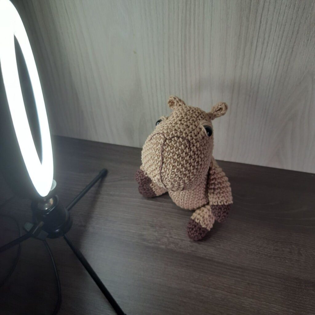 Capivara em Amigurumi.
