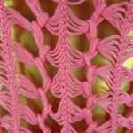 Regata – Rosa – Crochê de Grampo - Imagem 3