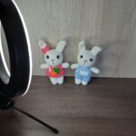 Casal de Coelhinhos em Amigurumi - Imagem 2