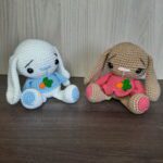Casal de Coelhinhos em Amigurumi. - Imagem 1