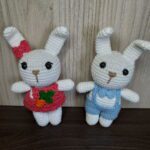 Casal de Coelhinhos em Amigurumi - Imagem 3