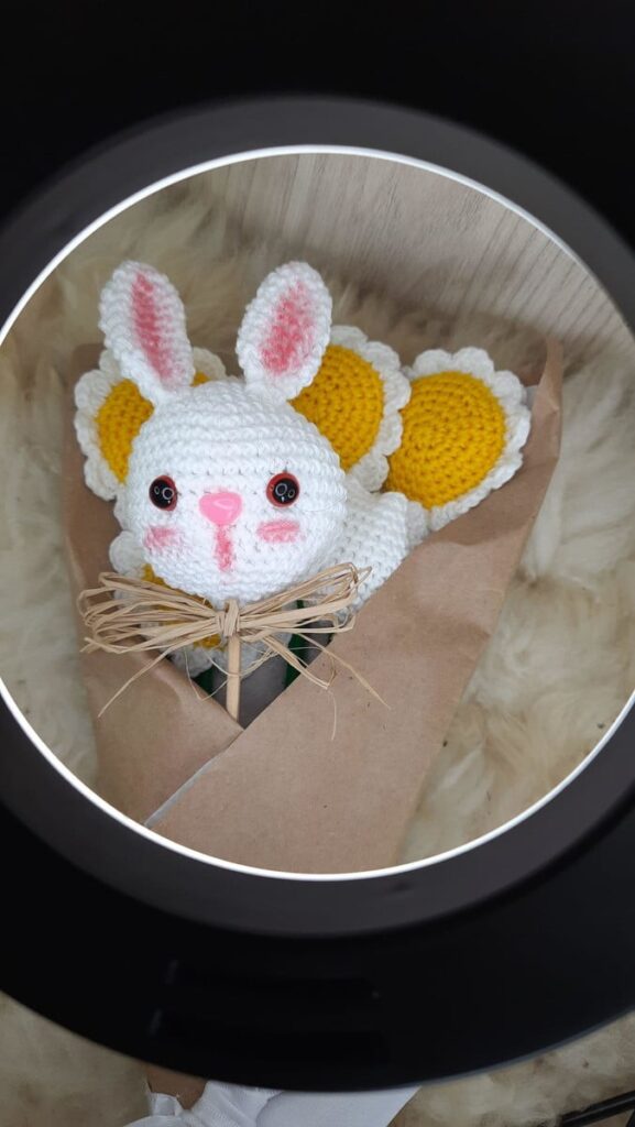 Buquê de Margaridas e Coelhinho.