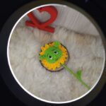 Kit Girassol do Sherek em Amigurumi - Imagem 4