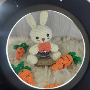 Coelhinho Porta Doces em Amigurumi