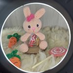Coelhinho Porta Doces em Amigurumi - Imagem 1