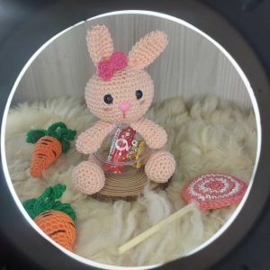 Coelhinho Porta Doces em Amigurumi