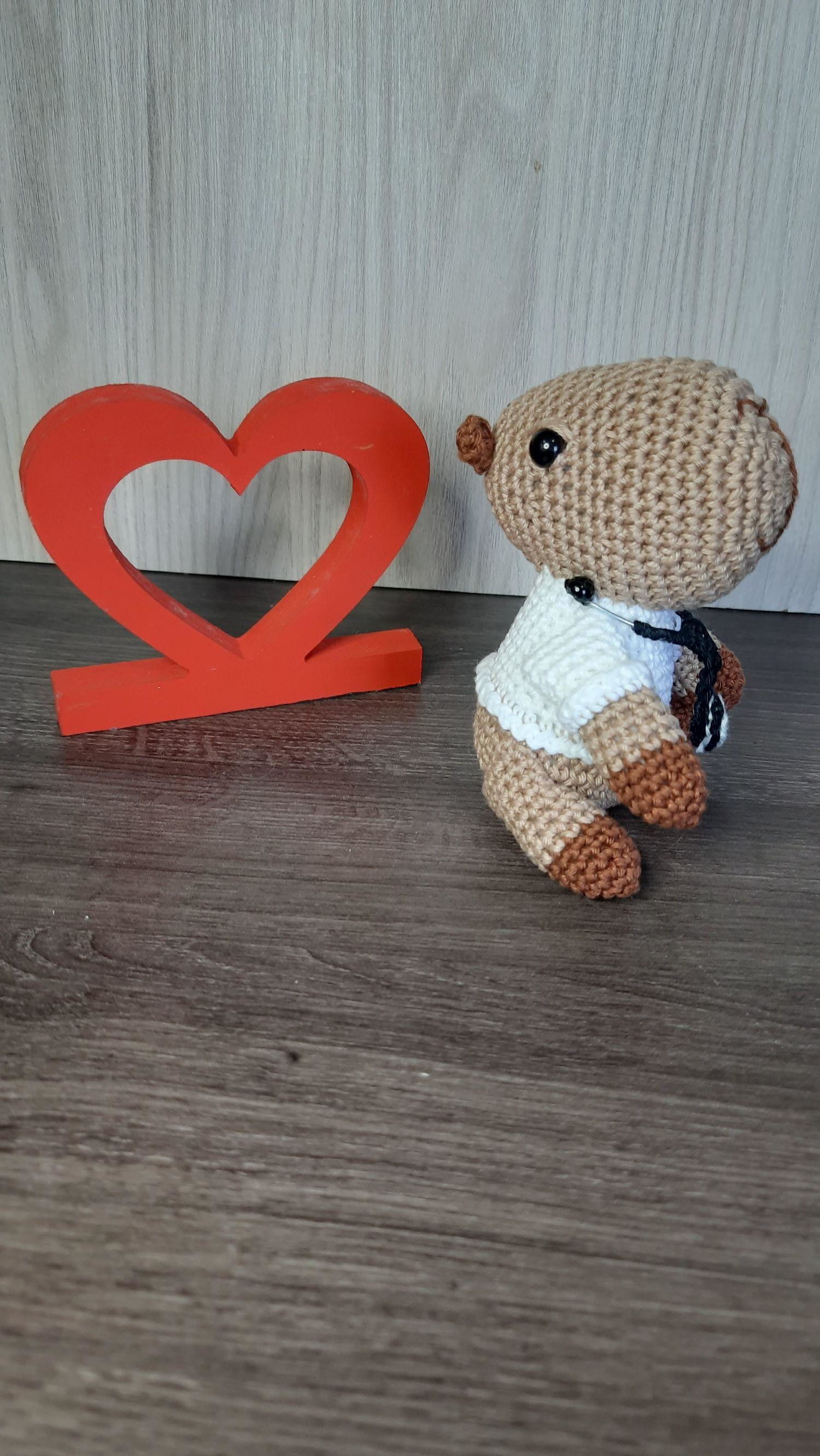 Doutor Capivara em Amigurumi. - Imagem 3