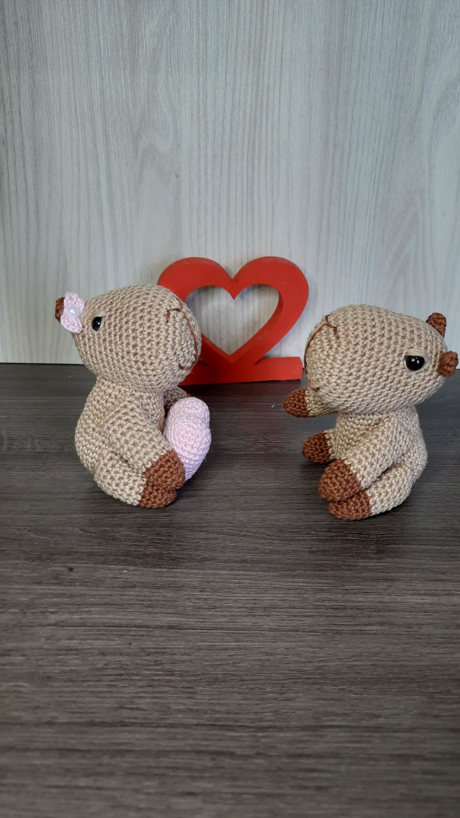 Casal de Capivaras Apaixonadas em Amigurumi.