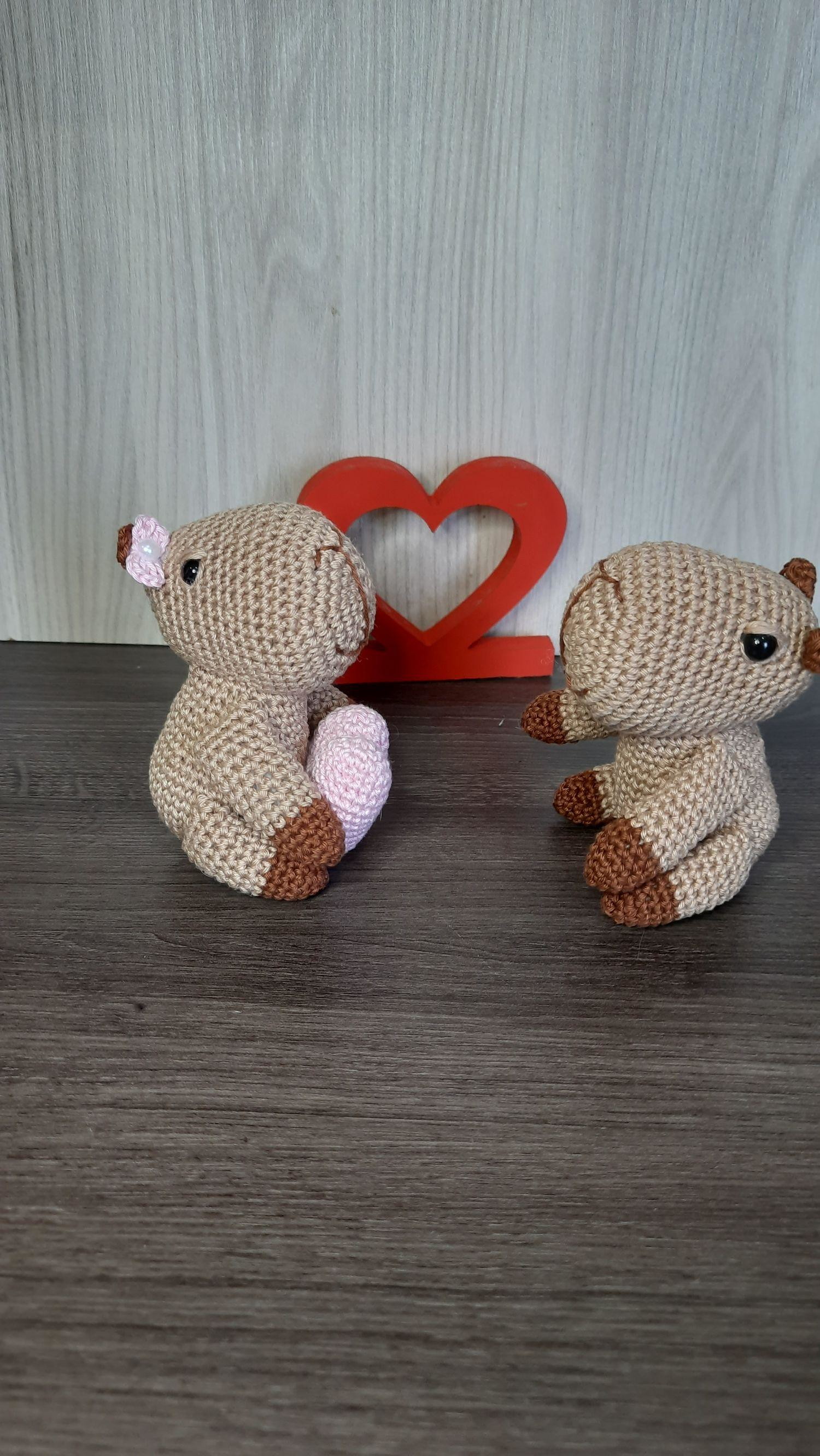 Casal de Capivaras Apaixonadas em Amigurumi. - Imagem 2