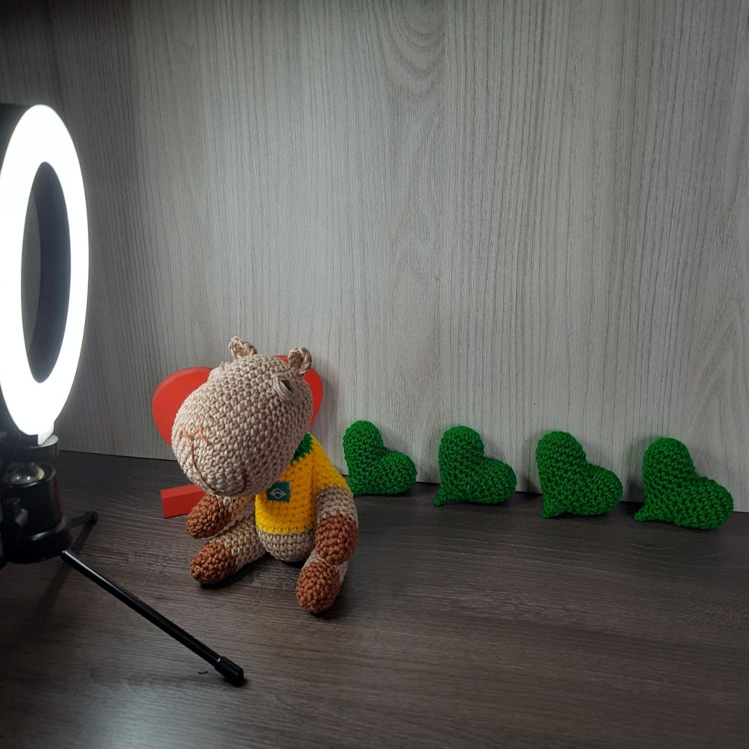 Capivara Torcedora em Amigurumi.