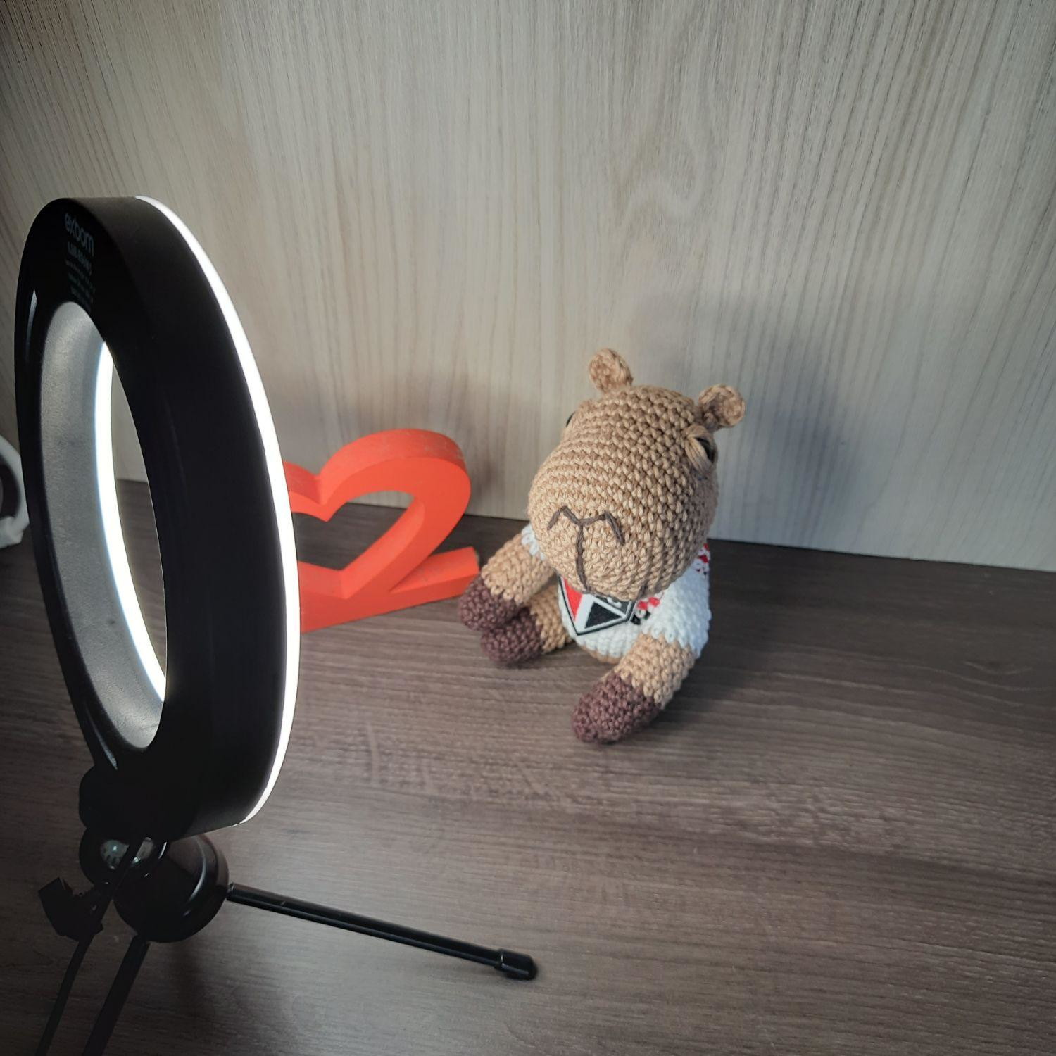 Capivara do São Paulo em Amigurumi.